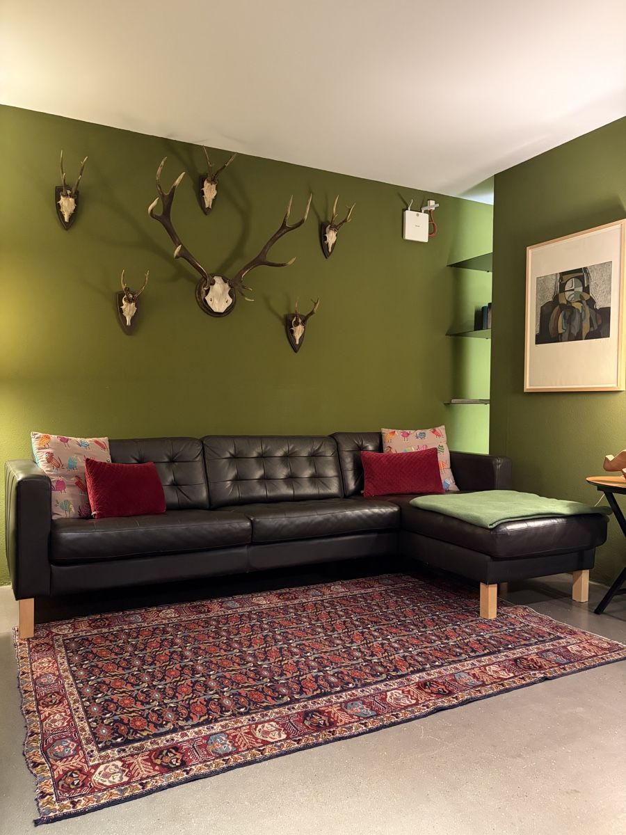 Ikea Divani: Ledersofa Braun   Ikea – Usato da Zürich venduto da ARTino