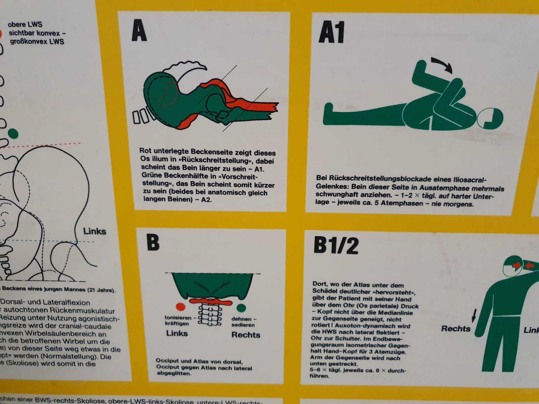 Foto & Immagini: Dynamische Wirbelsäulen-Therapie, Arbeitstafeln – Usato da Rieden AG venduto da willy52 3