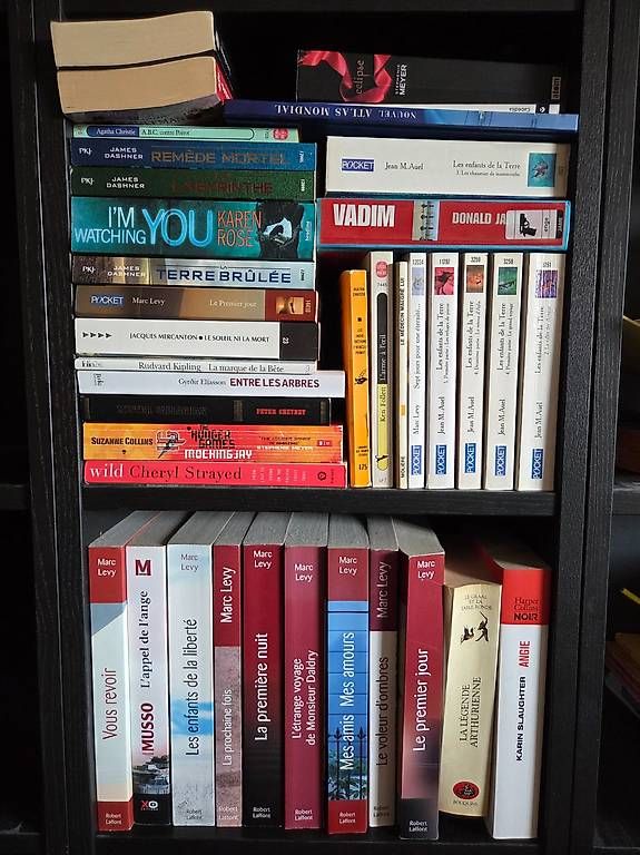 Livres: Lot de livres divers – D'occasion à geneve par mappleluna 1