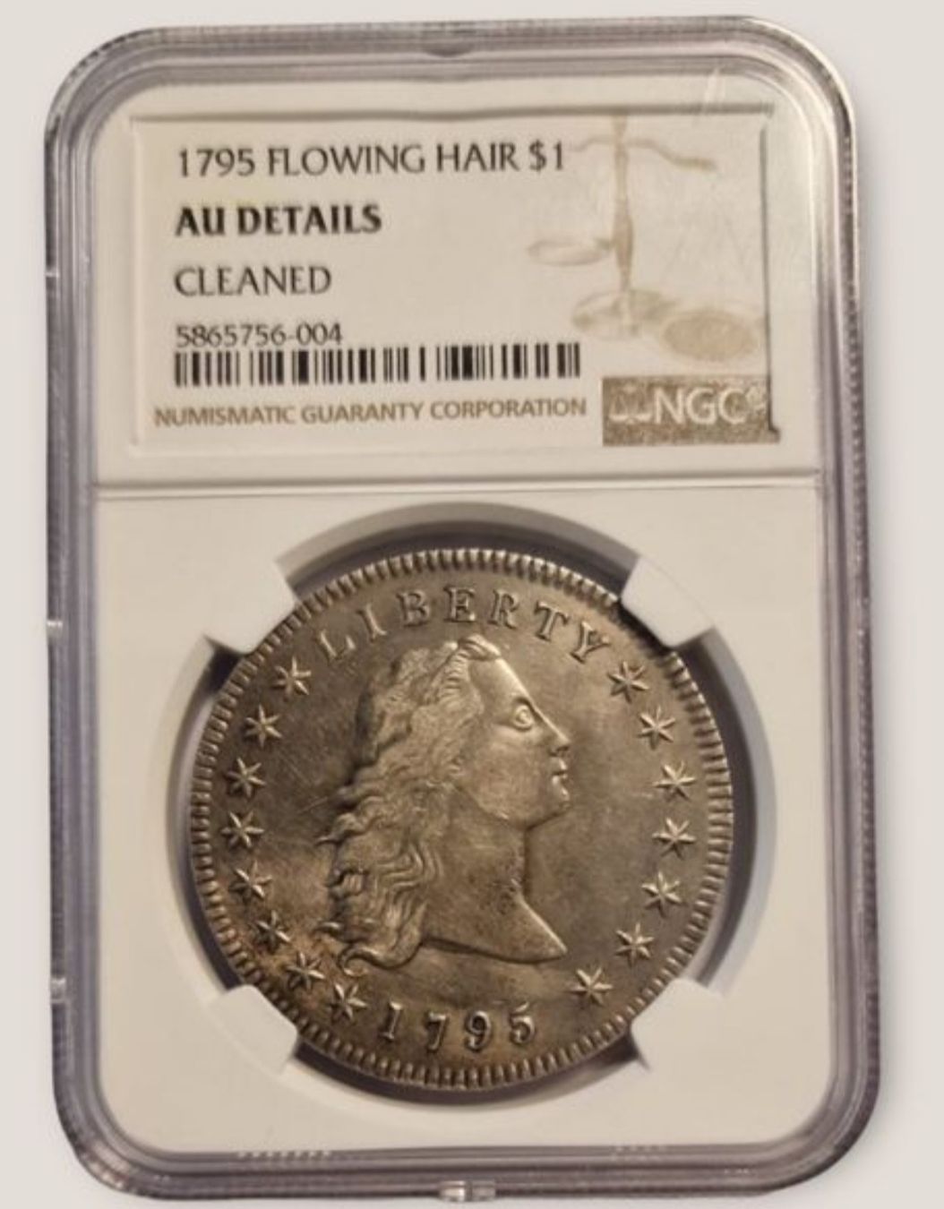 Tutti le monete: 1 Dollar Flowing Hair 1795 – Nuovo (secondo la descrizione) da Nyon venduto da FrodoSkywalker