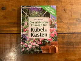 Die schönsten Pflanzen für Kübel und Kästen