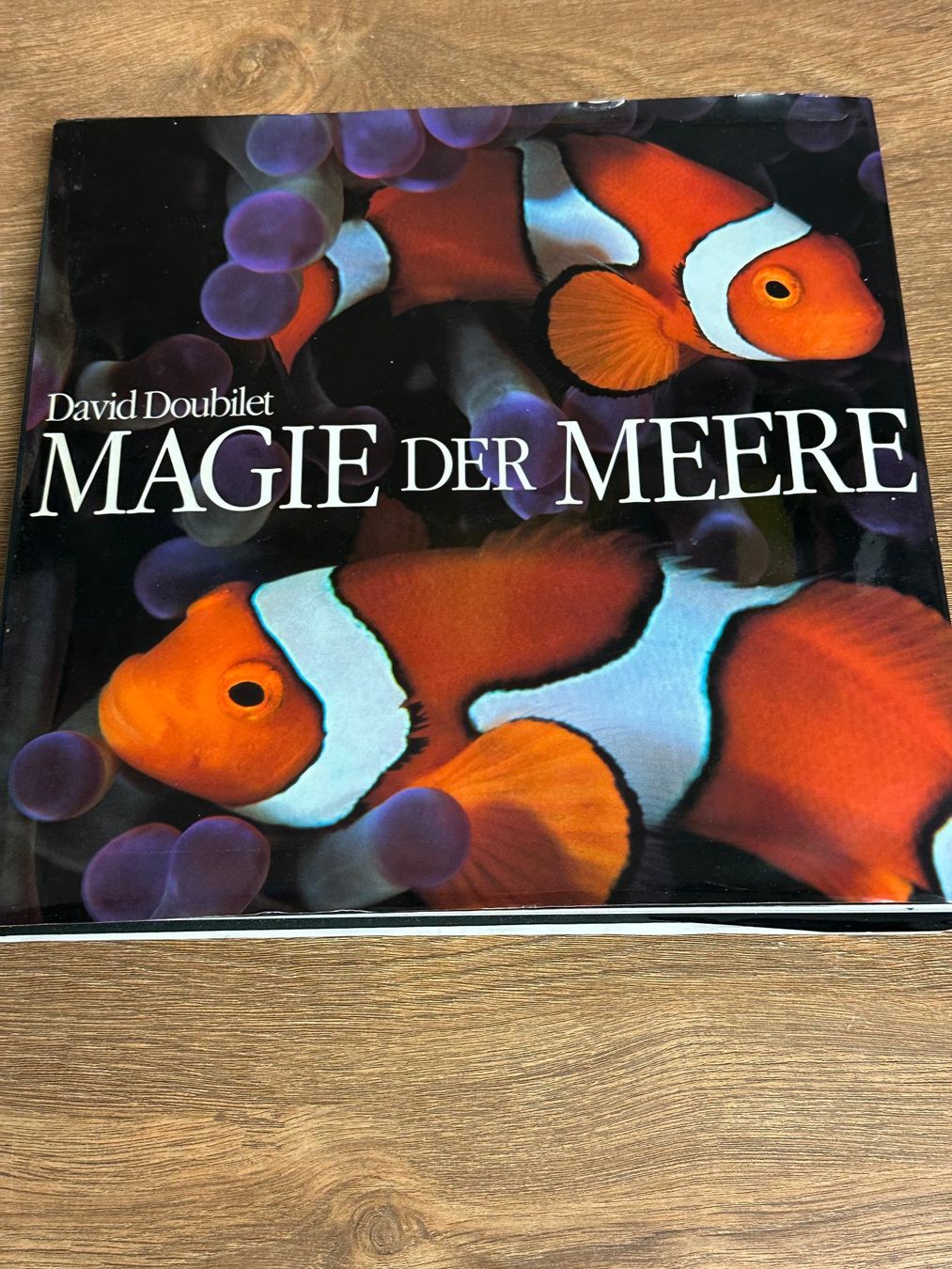 Bücher: David Doubilet: Magie der Meere - Bildband – Gebraucht aus Nussbaumen AG von olitech5415 2