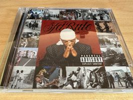 Ja Rule – Pain Is Love