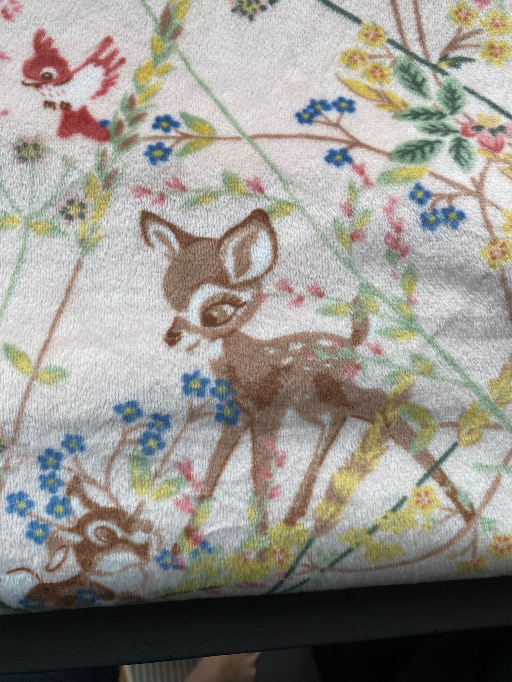 Disney Coperte: Decke von Disney – Nuovo (secondo la descrizione) da Baar venduto da rel_9lvy 1