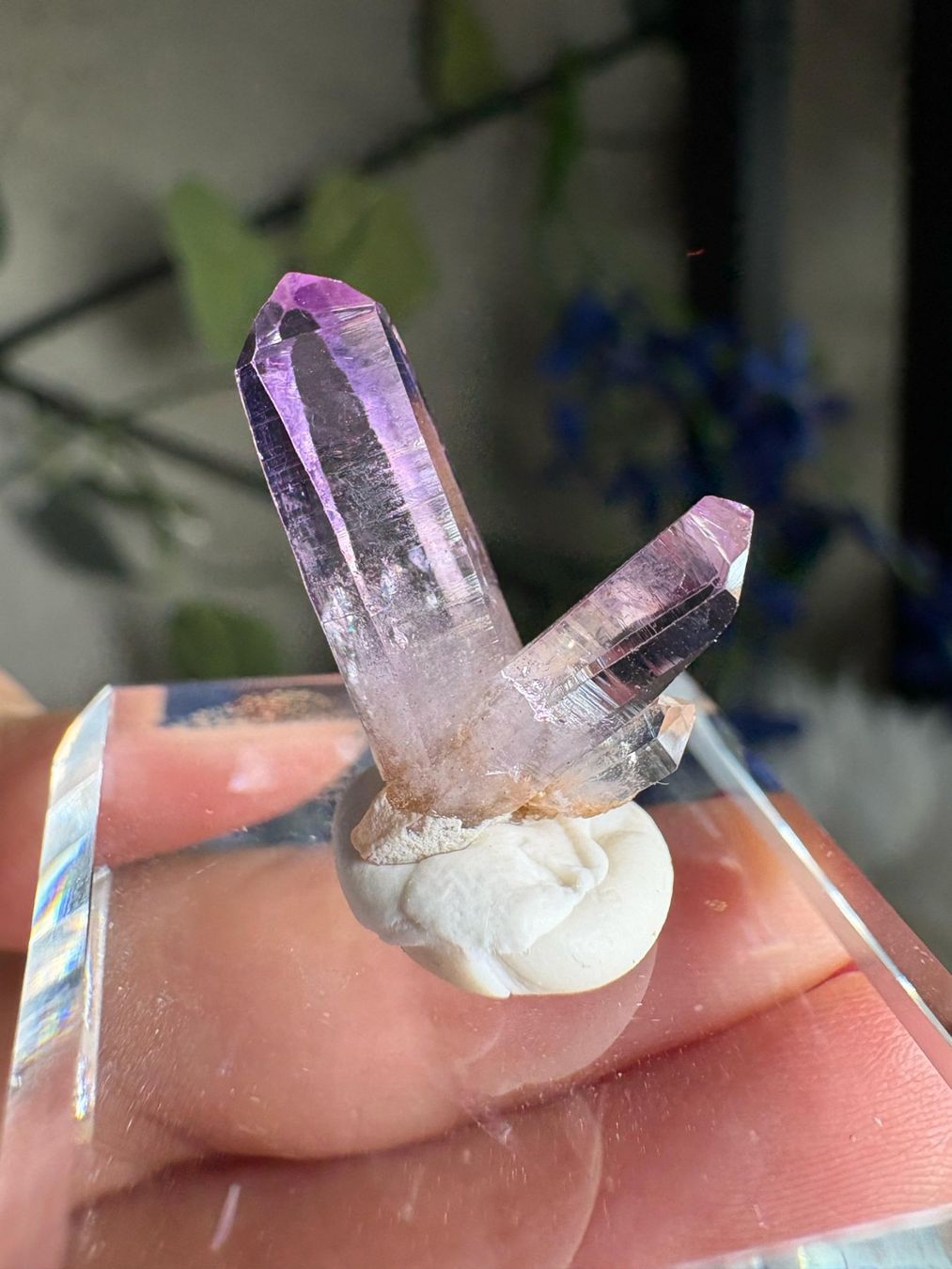 Pietre preziose: Veracruz Amethyst – Nuovo (secondo la descrizione) da Neuheim venduto da m.hald 6