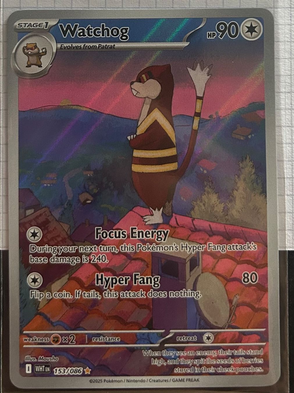 Pokémon Sammelbilder & Trading cards: ENG - Watchog #153 - White Flare – Neu (gemäss Beschreibung) aus Zürich von bli_yl5l