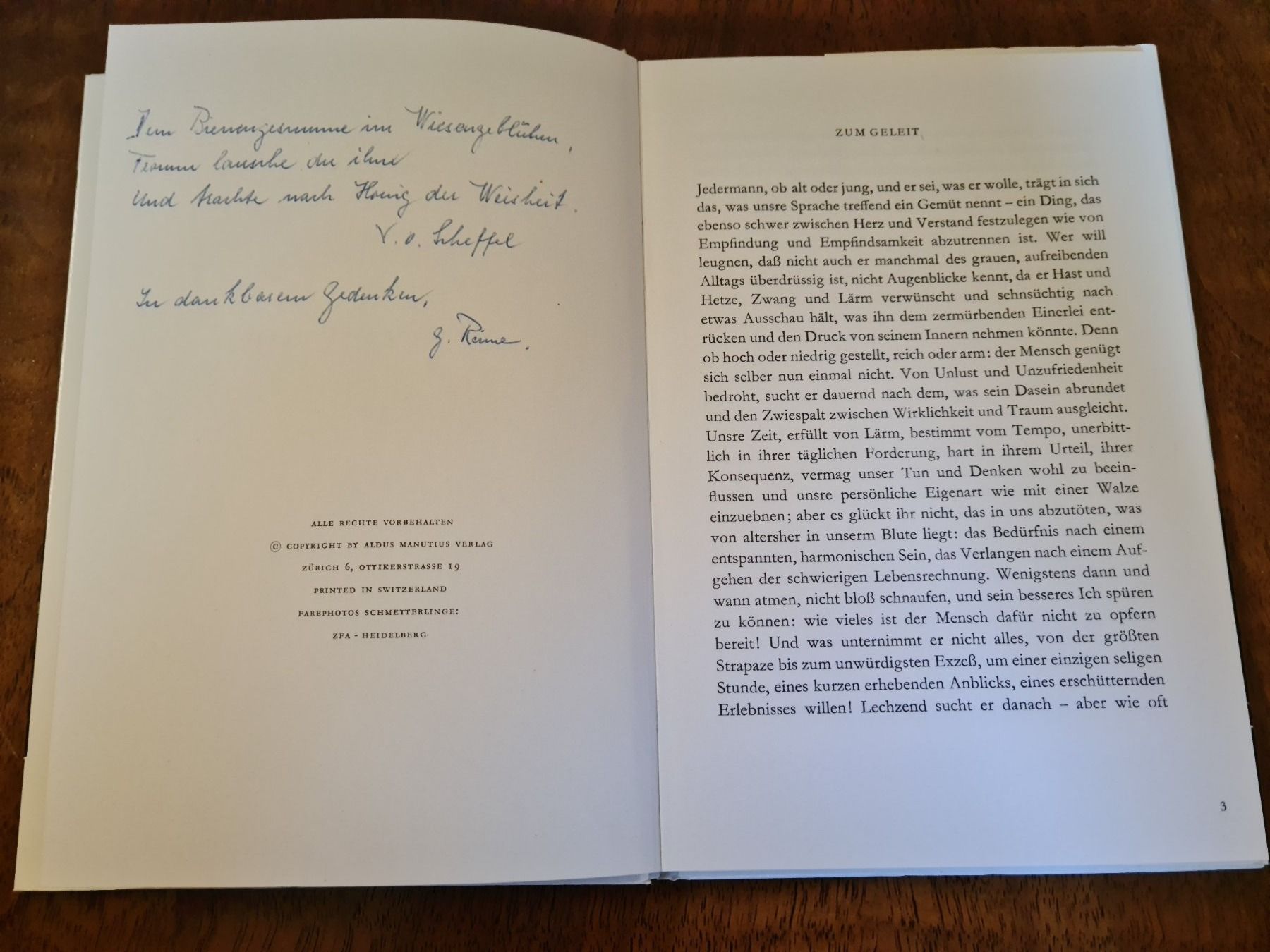 Libri: Verzauberter Alltag – Usato da Erstfeld venduto da Uhu1980 1
