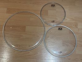 Pack 11  10-12-16 Tom Head Pack clear Remo drums - Studio