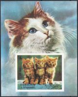 Katzen - schöner Tier Motiv Block von Sharjah