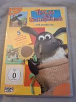 DVD Timmy das Schaefchen will gewinnen FSK 0 Zustand gut