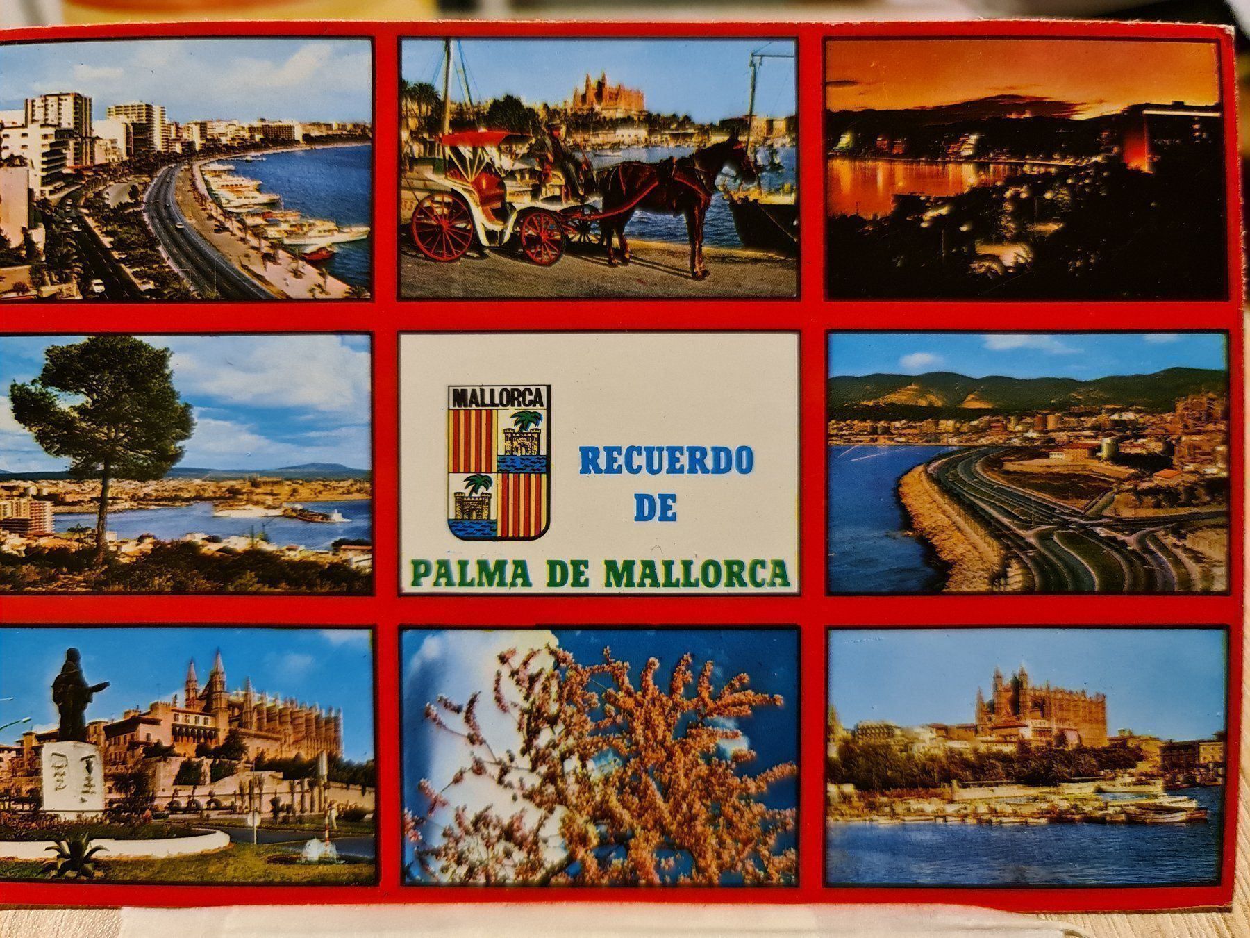 Cartoline postali: Ansichtskarte Palma de Mallorca Spanien – Usato da Dintikon venduto da Vexi