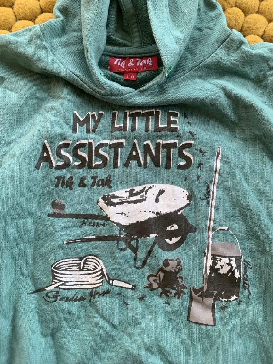 Pullover & Sweatshirts: Sweat à capuche Tik & Tak vert, taille 110 – Gebraucht aus Villars-sur-Glâne von Magdaka 2