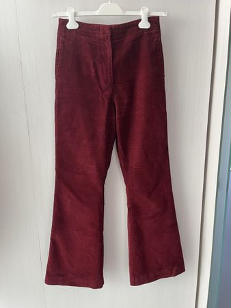 Lacoste velvet Hose