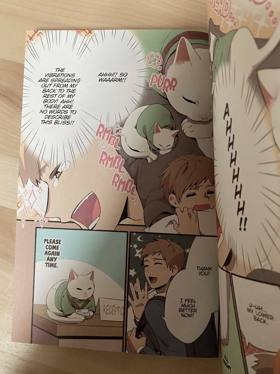 Fumetti: Comedy Manga Cat Massage Therapy 1-2 – Nuovo (secondo la descrizione) da Neftenbach venduto da ctbvm 6