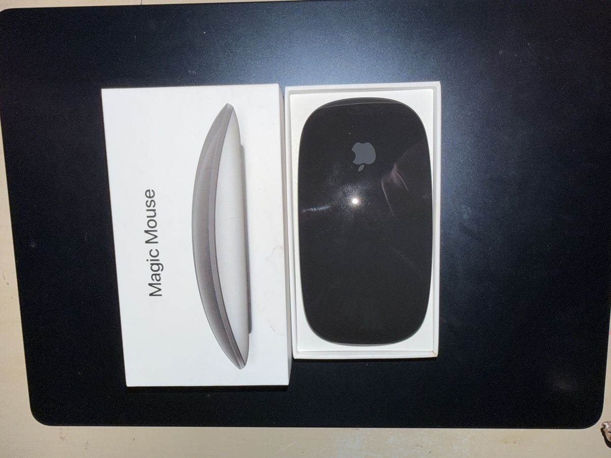 Apple Mouse: Apple Magic Mouse  – Usato da Bern venduto da luc_jrf9