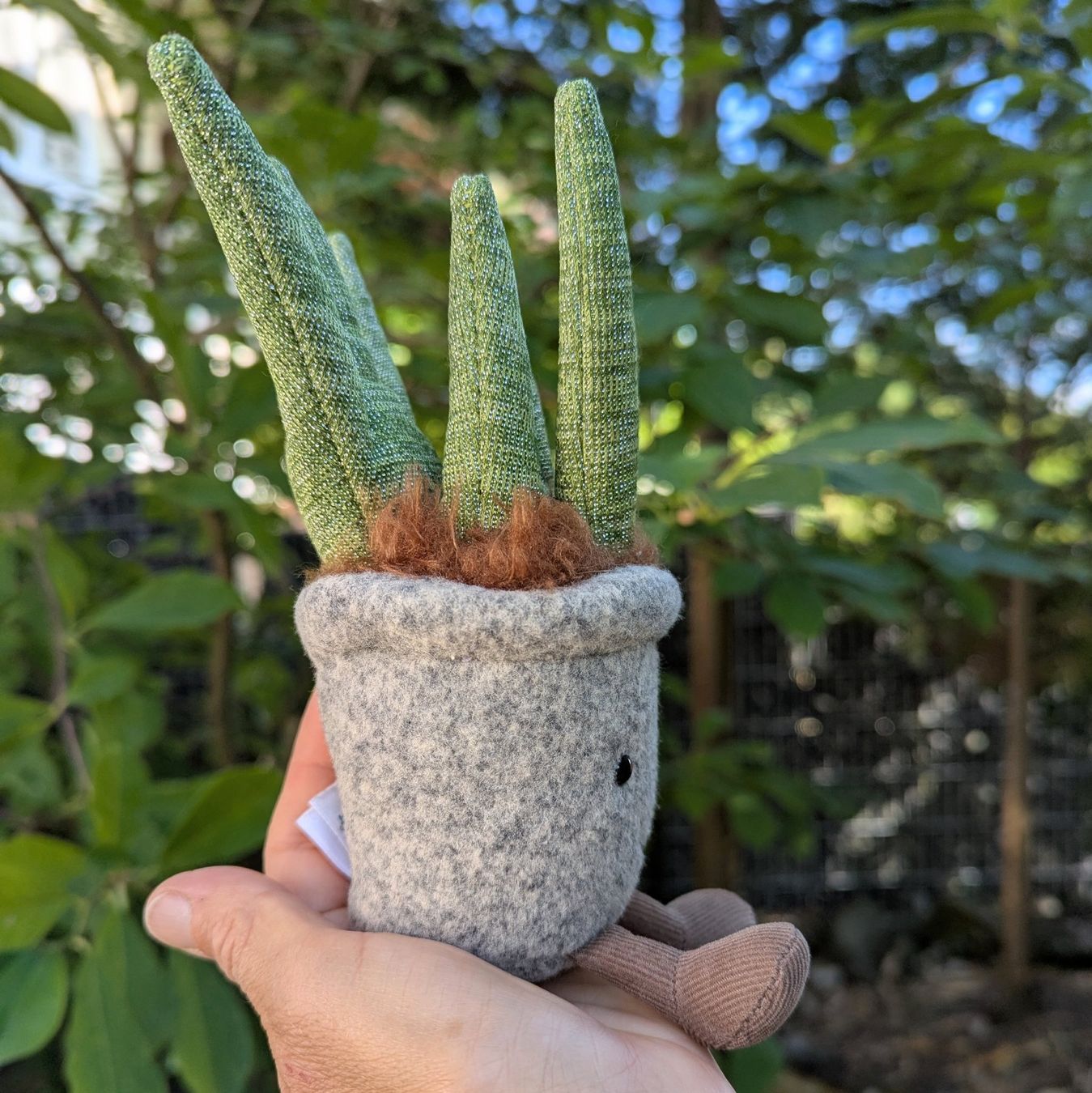 Jellycat Giocattoli: Jellycat Silly Succulent Aloe – Usato da Bertschikon Gossau venduto da Tokibunny 1