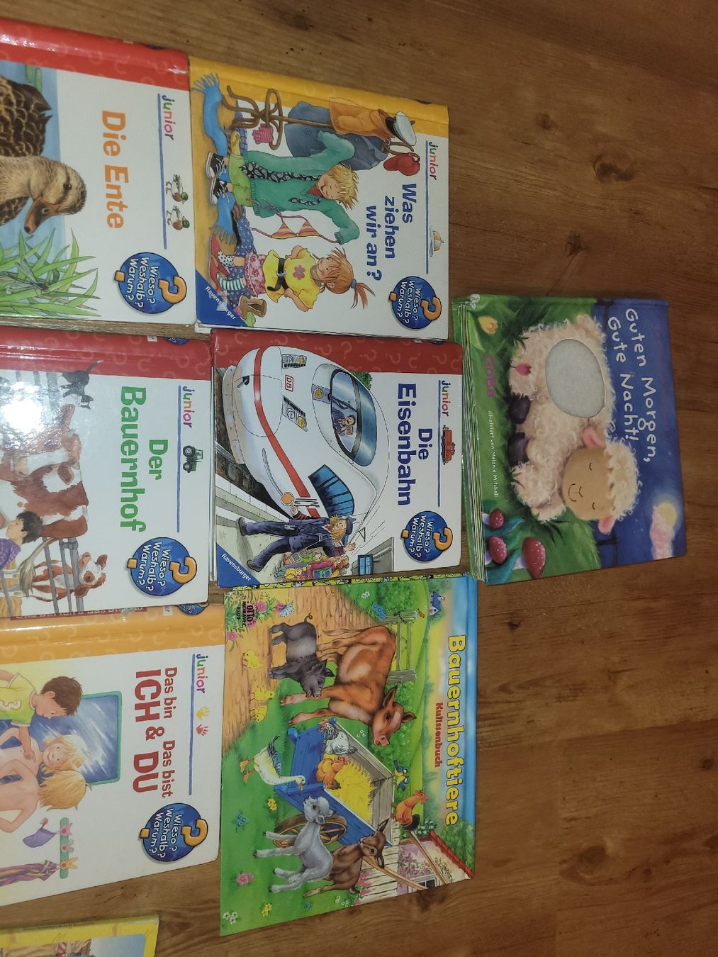 Libri: bücherset  wer was wie? kinder  – Usato da Schalunen venduto da Sunneschiin09 1