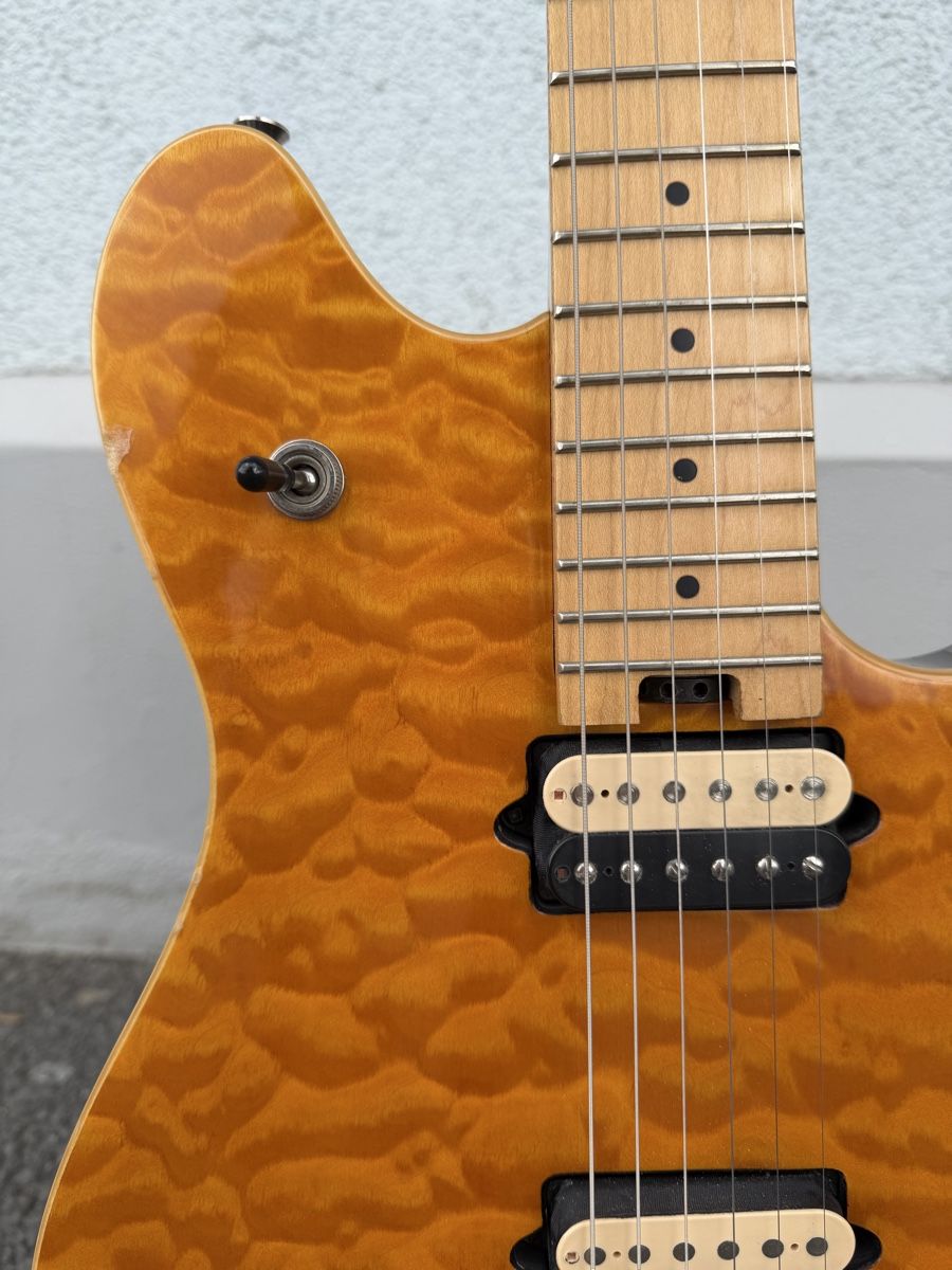 Peavey Strumenti musicali: Peavey Wolfgang Special – Usato da Hauptwil venduto da musikboerse 6