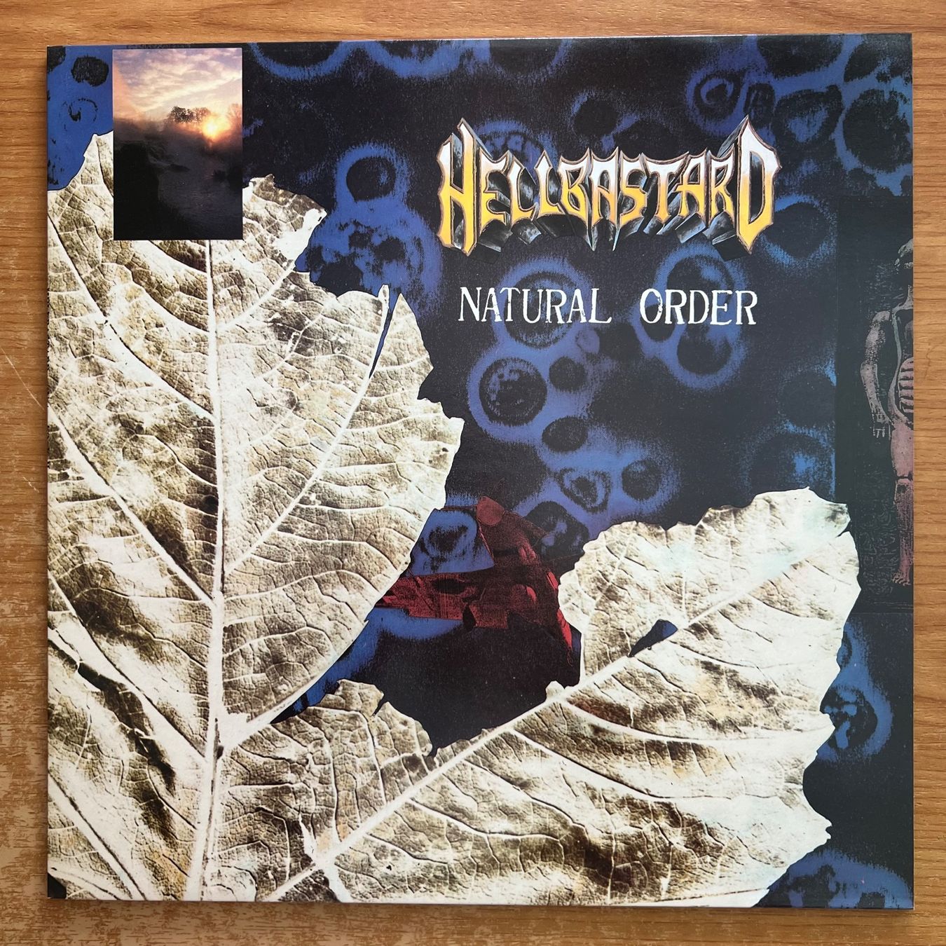 Dischi in vinile: Hellbastard - Natural Order / 1. UK-Press. 1990 - TOP – Usato da Gais venduto da soundcave57