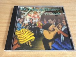 P4 Various – Una Noche De Flamenco En Andalucia
