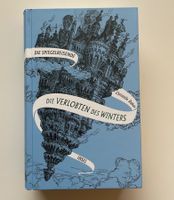 Die Spiegelreisende: Die Verlobten des Winters - Jugendbuch!