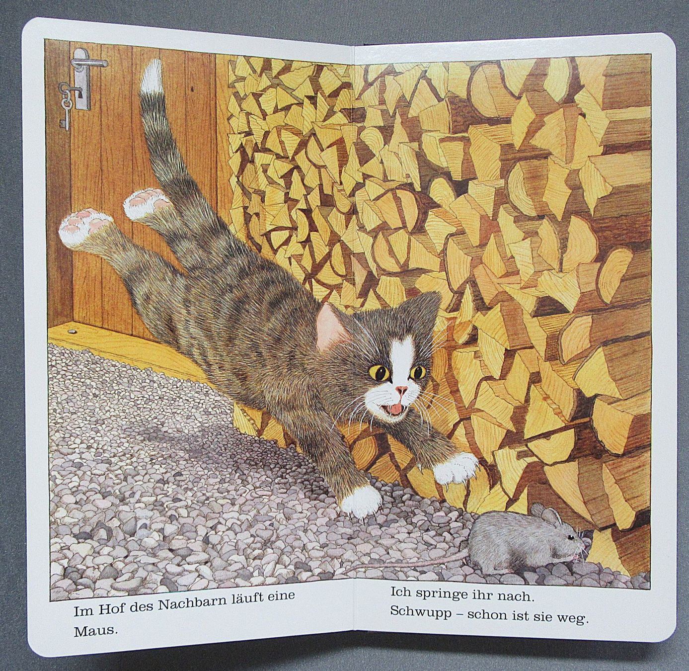 Libri: Ich bin die kleine Katze - Bilderbuch - kartonierte Seiten – Usato da Auenstein venduto da Padabimbim 8