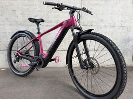 Cube Reaction Race Ebike 25kmh * Top Zustand*