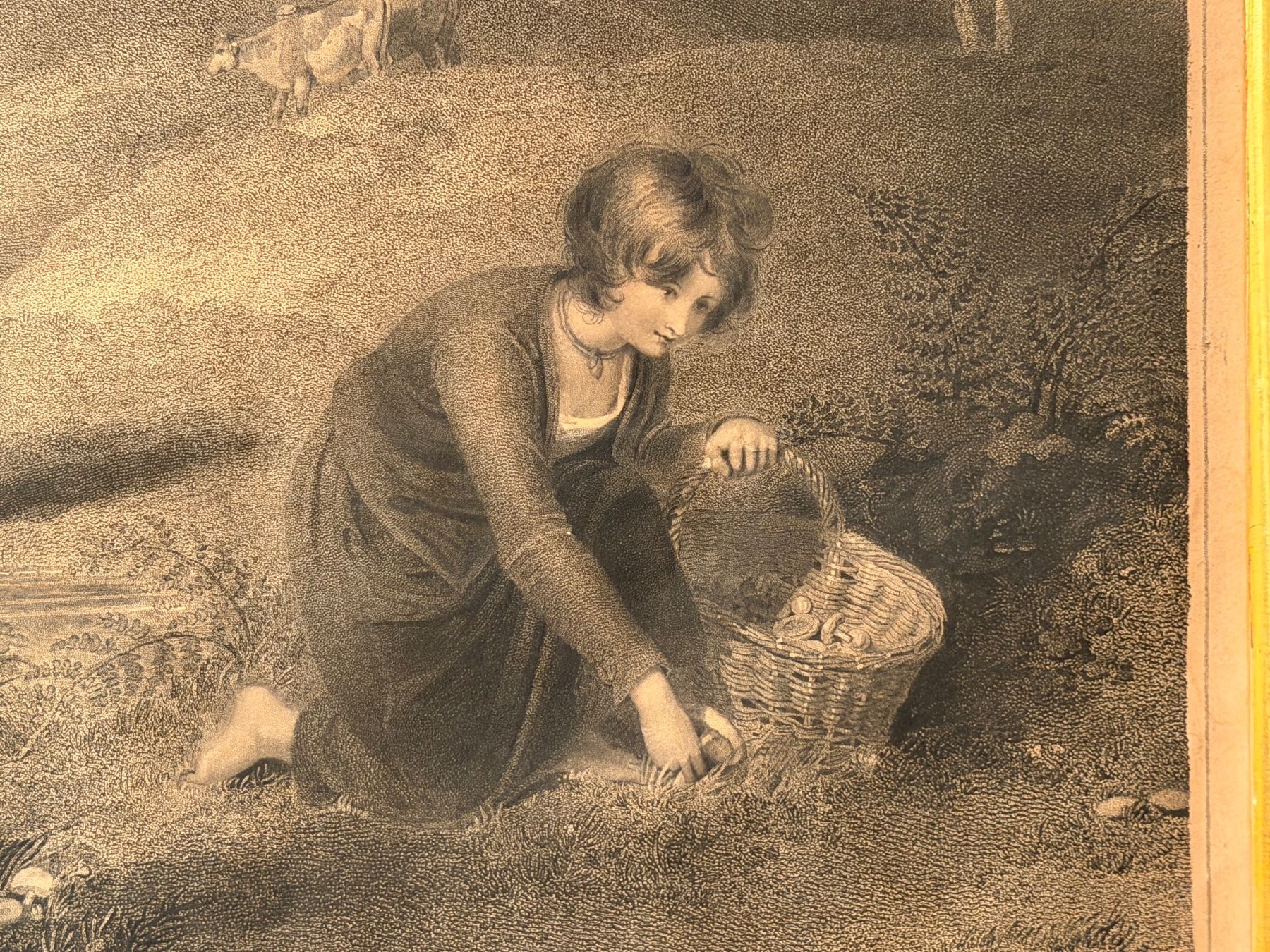 Dipinti: 1800 Gravur von Robert Mitchell Meadows British Museum – Usato da Basel venduto da PAUL_ART 2