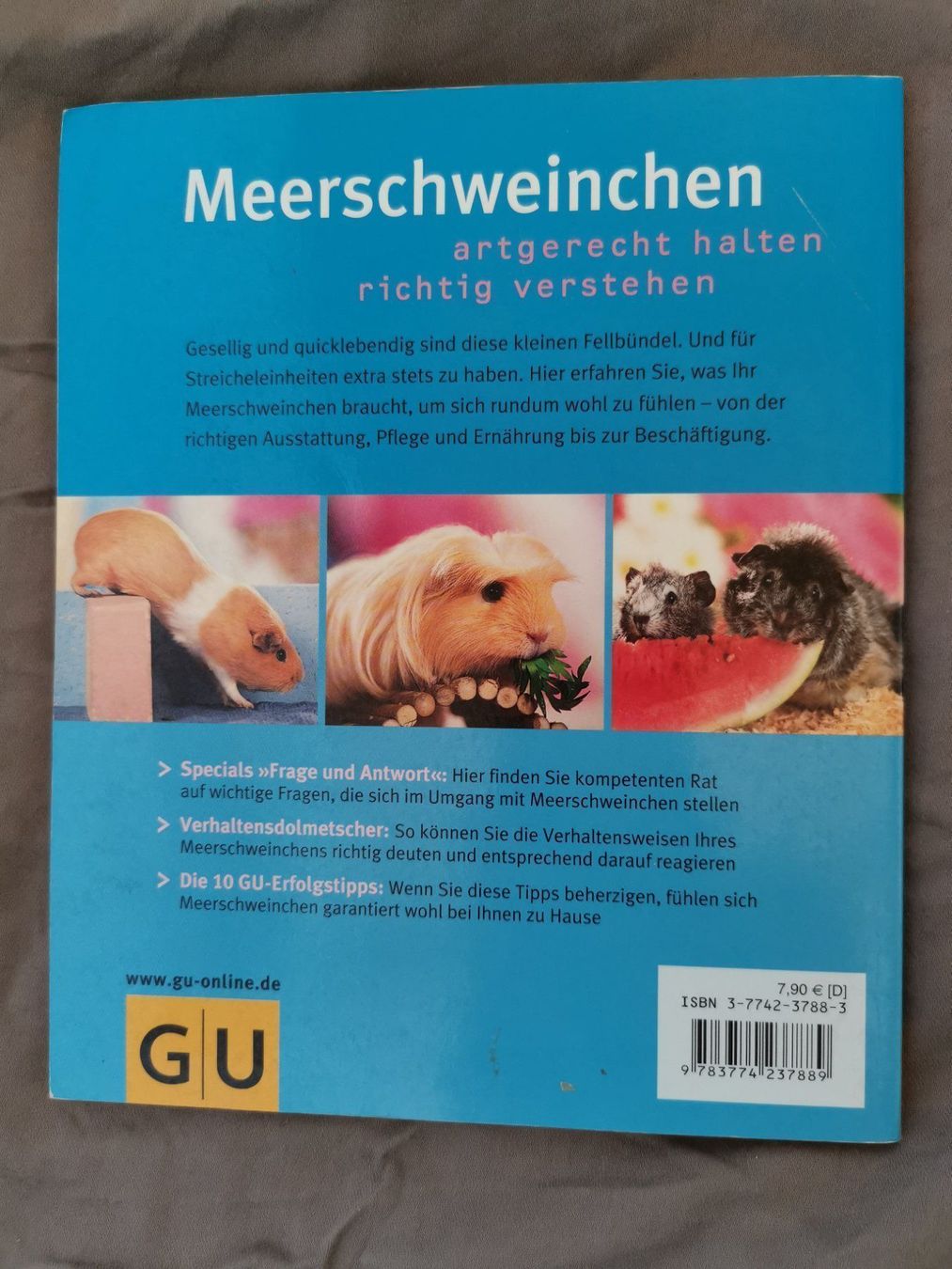 Bücher: Meerschweinchen – Gebraucht aus Wilderswil von wwil 1