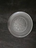 Glas Teller Set, Vintage Design - Perfekt für den Sommer!