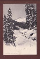 GRAUBÜNDEN - Winterstimmung im Wald