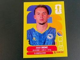 FIFA WORLD CUP 2026 - BIH 3