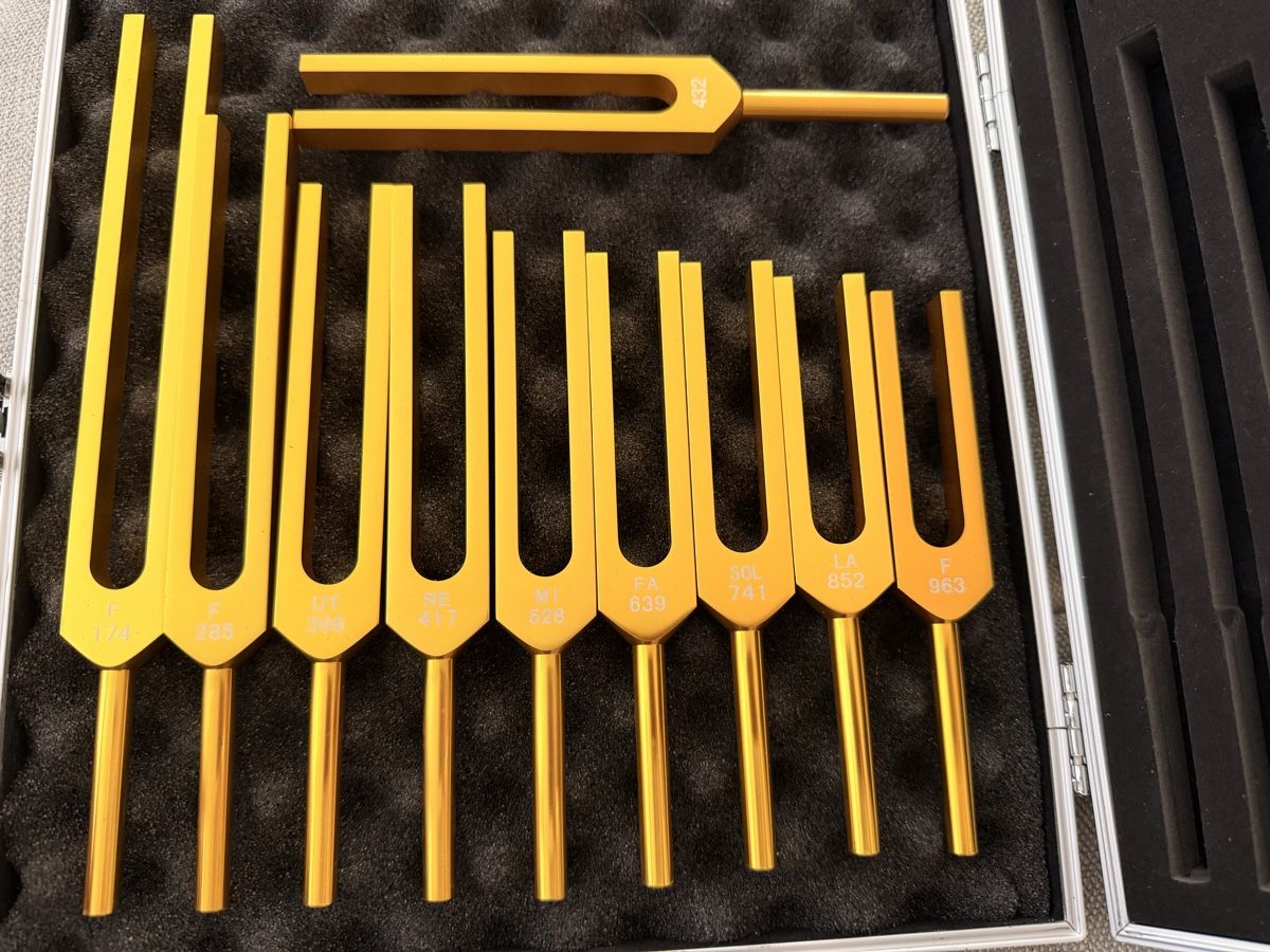 Strumenti musicali: Stimmgabel-Set mit Koffer 10-teilig – Usato da Rorschach venduto da nan_8rts
