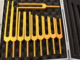 Stimmgabel-Set mit Koffer 10-teilig