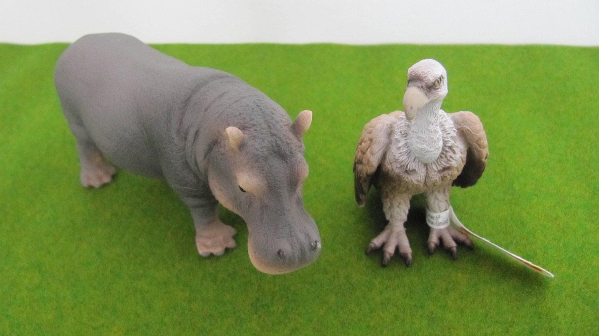 Schleich Giocattoli: Schleich Nilpferd & Geier - Wilde Tiere – Nuovo (secondo la descrizione) da Brunnen venduto da Kiwiland1 3