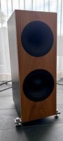 Tobian Sound Systems 10FH full range horn speakers