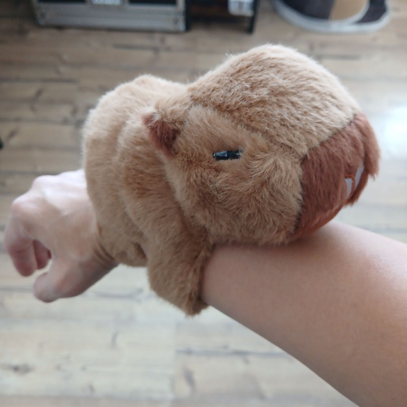 Spielzeuge: Capybara Plüsch Snaparmband – Neu (gemäss Beschreibung) aus Steffisburg von Ferrari006