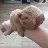 Capybara Plüsch Snaparmband