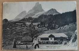 Motiv auf Braunwald mit seltener Werbe Vignette um 1905