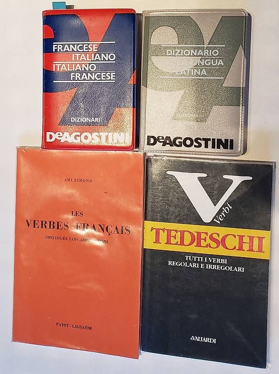 Bücher: Vendo mini dizionari – Gebraucht aus Siebnen von VenditaIre