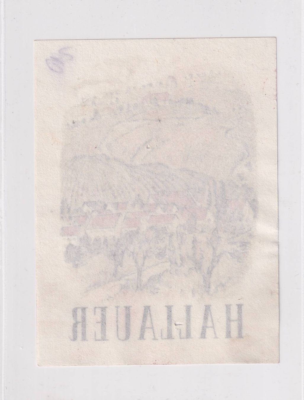 Carta: Etikette - Hallauer /bd – Usato da Hombrechtikon venduto da Rudolf07 1