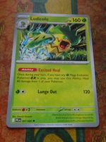 POKEMON  Ludicolo   I  PLF EN  007/094   HP160  2025