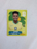 Panini Bild BRA 20