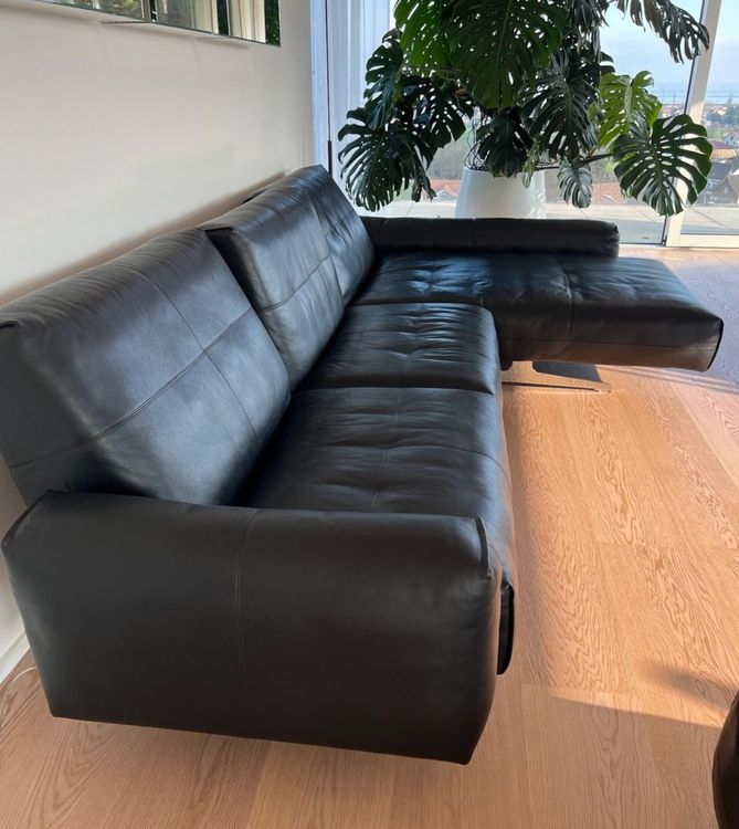 ROLF BENZ DesignerLedersofa Kaufen auf Ricardo