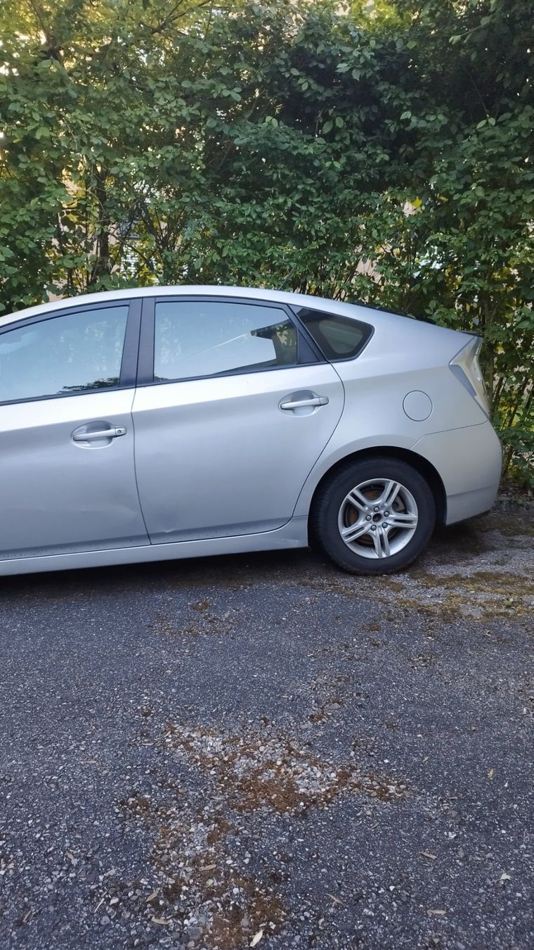 Toyota Automobili: Toyota Prius Hybrid Jg.2009 – Usato da AARBURG venduto da ProContra 3