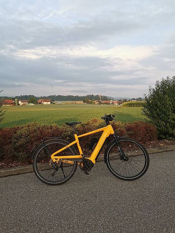 Vélo électrique 45km/h IBEX eComfort Neo GT (Gebraucht) in Fribourg für ...