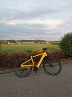 Vélo électrique 45km/h IBEX eComfort Neo GT