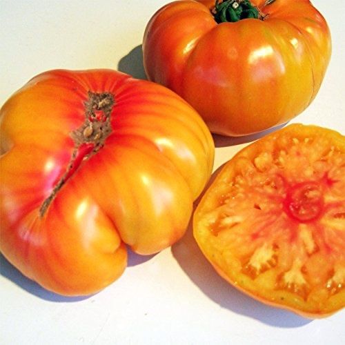 Piante & sementi: 30 Samen OLD GERMAN Tomate Alte Sorte – Nuovo (secondo la descrizione) da Ehrendingen venduto da VerveinaSamen 2