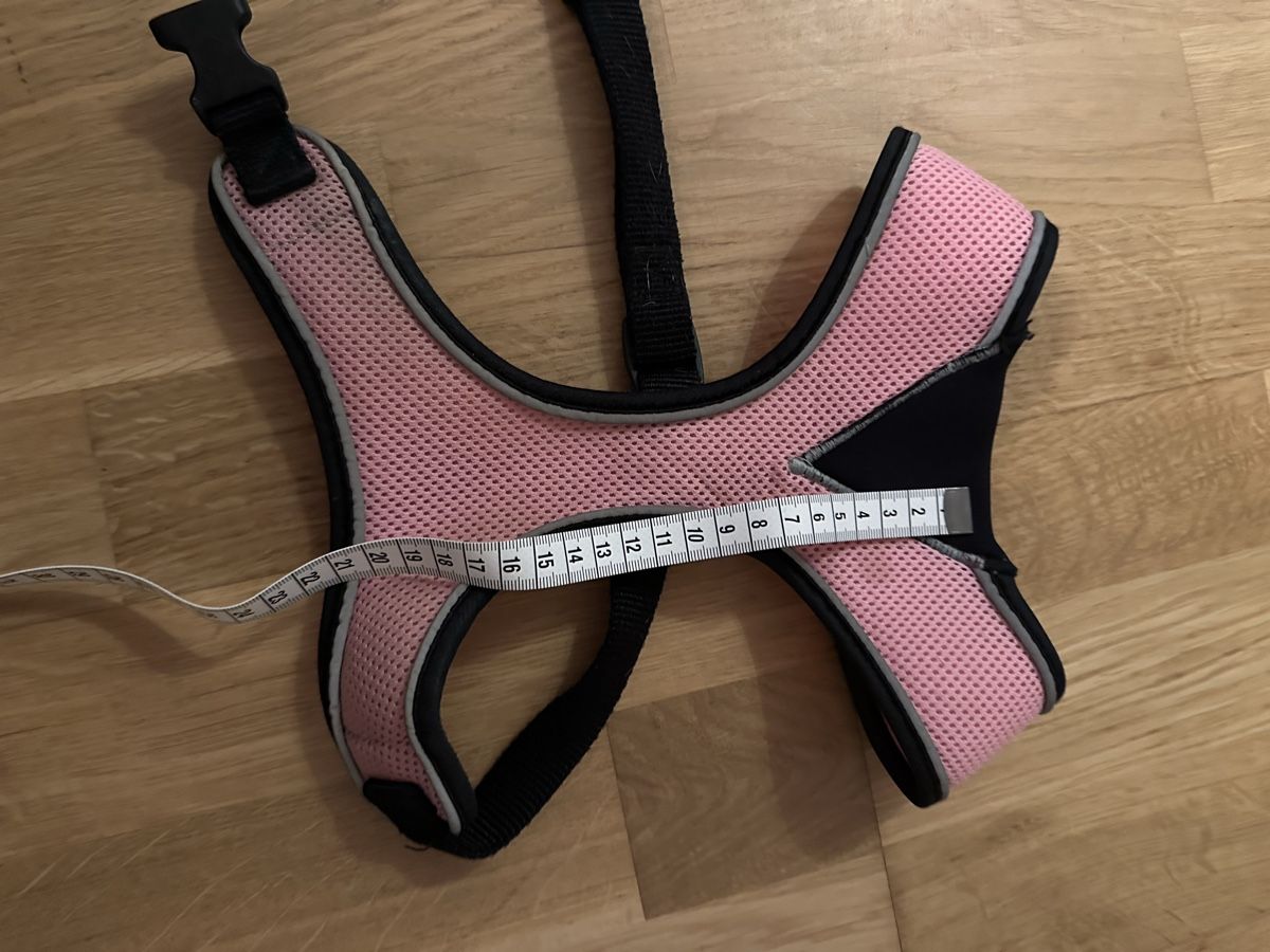Geschirrsets: Hunde Geschirr – Gebraucht aus Buchs ZH von how_wf9j 1