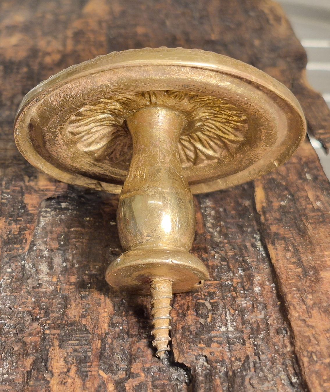 Eisenwaren: Messingknäufe antik 4 Stück,  ca.7cm Durchmesser – Gebraucht aus Basel von wer_smt6 4